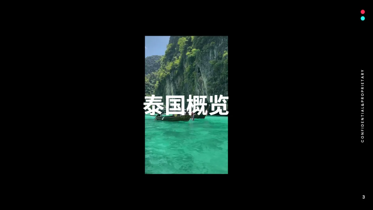 2024全球市场百宝书-泰国篇_大数跨境