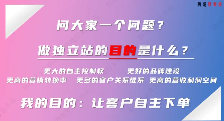 林东泳PPT《独立站用户消费成长》