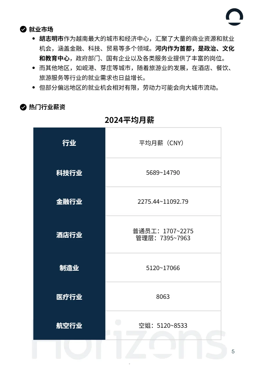 Horizons2025越南出海白皮书21页_大数跨境