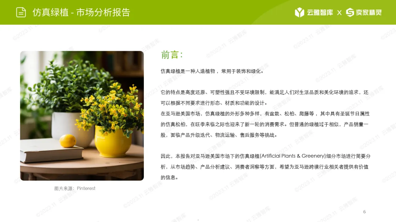2024仿真绿植市场分析报告_大数跨境