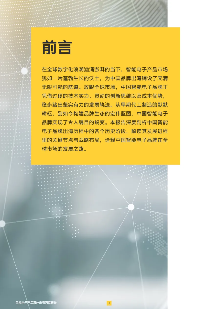 安永2025智能电子产品海外市场洞察报告16页- 大数跨境