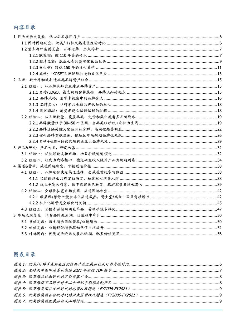 2022年海外美妆巨头品牌经营战略及渠道营销经验借鉴分析报告_大数跨境