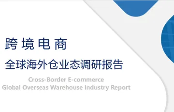 全球海外仓业态调研报告
