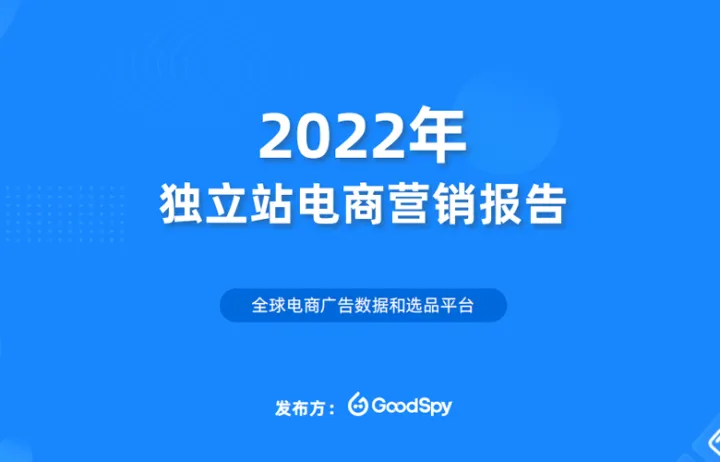 GoodSpy独立站电商营销报告