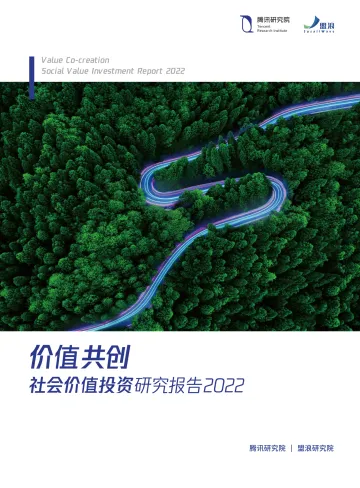 《价值共创:社会价值投资研究报告2022》-96页