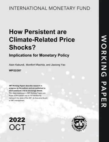 IMF-气候相关的价格冲击有多持久？对货币政策的影响（英）-2022.10-50页