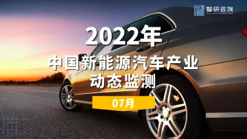 2022年7月中国新能源汽车产业动态监测-22页