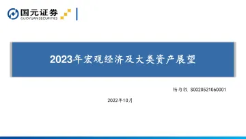 2023年宏观经济及大类资产展望-20221009-国元证券-21页