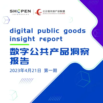 数字公共产品洞察报告(第一期)-2023.10-24页-WN10