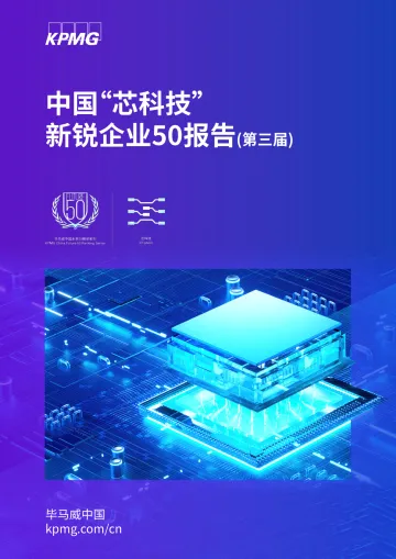 中国“芯科技”新锐企业50报告(第三届)-10页