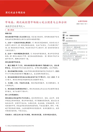 城投多空论系列之八:市场篇,湖北城投债市场核心关注因素与主体分析-20230819-西部证券-22页