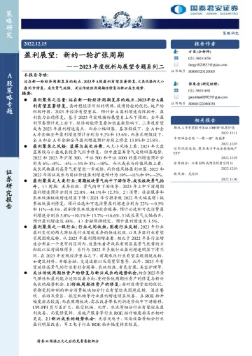 2023年度锐析与展望专题系列二:盈利展望,新的一轮扩张周期-20221215-国泰君安-22页