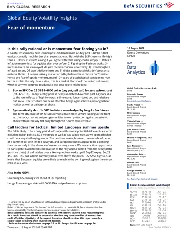 Global Equity Volatility Insights - Fear of momentum