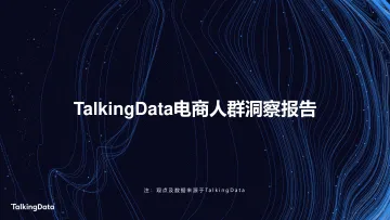 TalkingData电商人群洞察报告_1578907114090