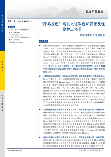 中小市值行业专题报告:“跨界投锂”巡礼之进军锂矿资源及锂盐加工环节-20220809-长城证券-16页