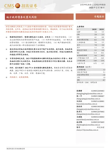 招商证券-专题报告:地方政府债务处置及风险-230218