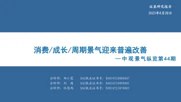 中观景气纵览第44期:消费成长周期景气迎来普遍改善-20230828-华安证券-56页