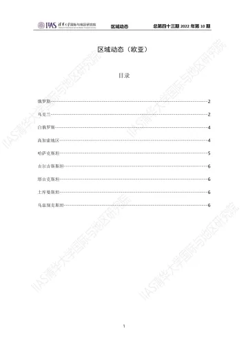 《区域动态》第四十三期欧亚动态-7页