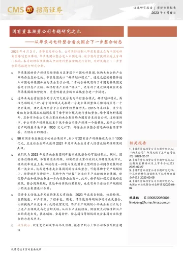 招商证券-国有资本投资公司专题研究之九:从华录与电科整合看央国企下一步整合动态-230409