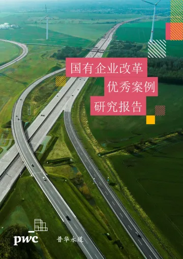 普华永道-国有企业改革优秀案例研究报告-16页