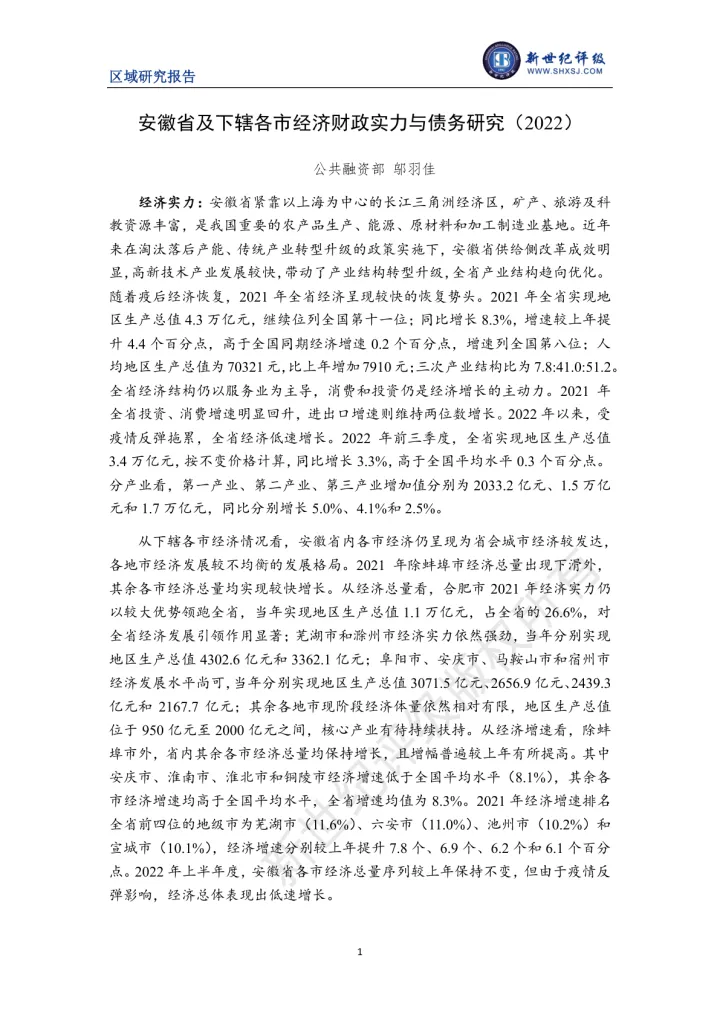 新世纪评级-安徽省及下辖各市经济财政实力与债务研究（2022）-28页