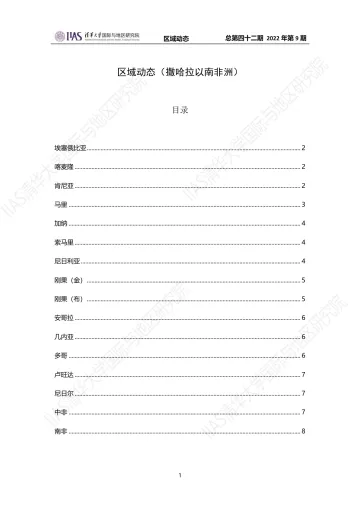 《区域动态》第四十二期:撒哈拉以南非洲动态-8页