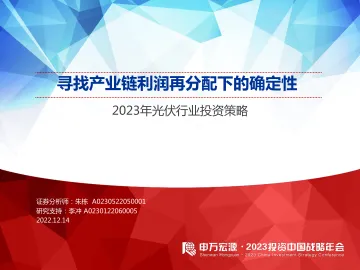 2023年光伏行业投资策略:寻找产业链利润再分配下的确定性-20221214-申万宏源-29页