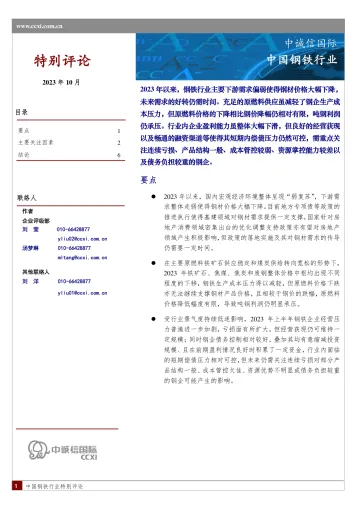 中诚信-中国钢铁行业特别评论-8页-WN10