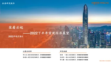 2022下半年宏观经济展望:坐看云起-20220609-平安证券-87页