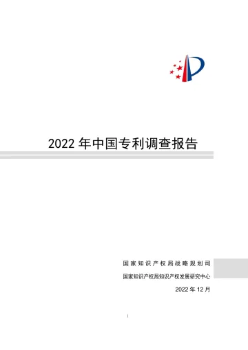 2022年中国专利调查报告-252页