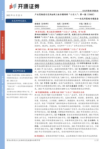 北交所策略专题报告:产业思维看北交所&新三板专精特新“小巨人”,第一期(TMT)-20221122-开源证券-37页