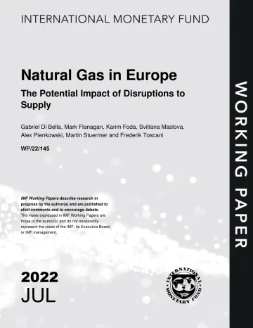 IMF-欧洲天然气:供应中断的潜在影响(英)-2022.7-48页