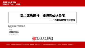 12月能源供需专题报告:需求弱势运行,能源品价格承压-20230106-中信期货-81页