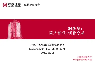 家电行业Q4展望：国产替代+消费分层-20221105-中泰证券-19页