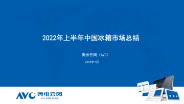 【家电报告】2022年上半年中国冰箱市场总结-图欧学习资源库版-9页