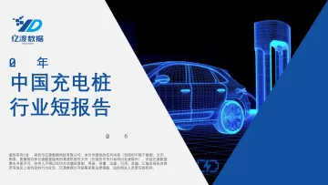 2022年中国充电桩行业短报告-18页