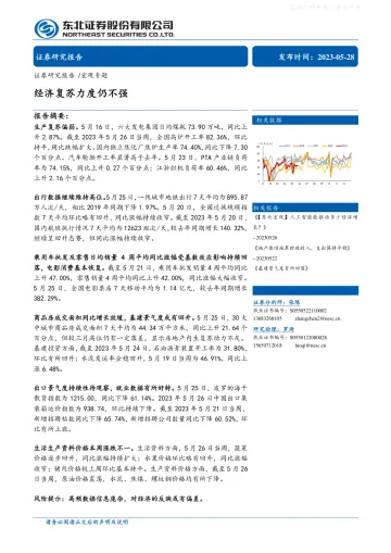 东北证券-宏观专题:经济复苏力度仍不强-230528