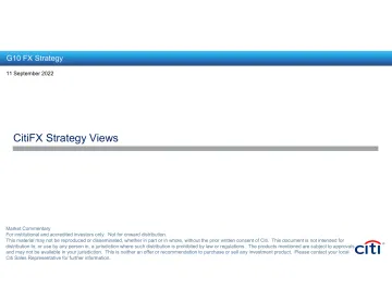 FX Strategy Views