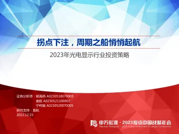 2023年光电显示行业投资策略:拐点下注,周期之船悄悄起航-20221215-申万宏源-32页