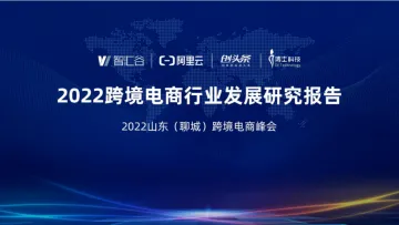 2022跨境电商行业发展研究报告-51页