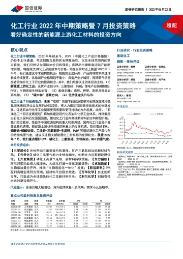 化工行业2022年中期策略暨7月投资策略:看好确定性的新能源上游化工材料的投资方向-20220622-国信证券-37页