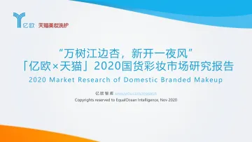 32.亿欧+天猫-2020国货彩妆市场研究报告-2020.11-48页
