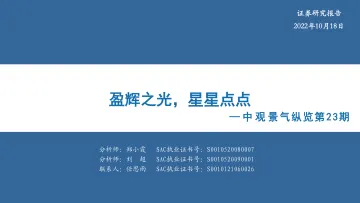 中观景气纵览第23期:盈辉之光,星星点点-20221018-华安证券-33页