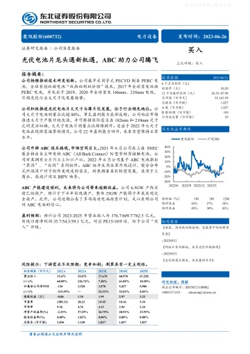 东北证券-爱旭股份(600732)光伏电池片龙头遇新机遇,ABC助力公司腾飞-230626