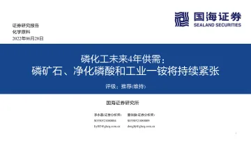 化学原料行业磷化工未来4年供需:磷矿石、净化磷酸和工业_铵将持续紧张-20220628-国海证券-17页