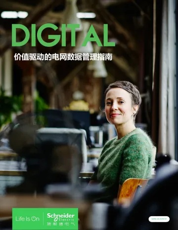 【施耐德电气:2206】《价值驱动的电网数据管理指南》(中文版130p)-130页