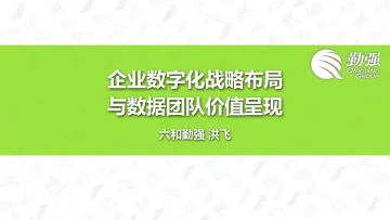 爱分析-六和勤强洪飞:企业数字化战略布局与数据团队价值呈现-26页