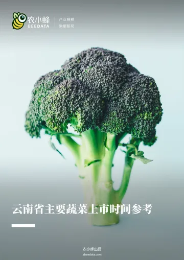 农小蜂:云南省主要蔬菜上市时间参考-9页