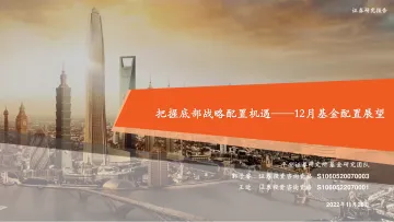 12月基金配置展望:把握底部战略配置机遇-20221128-平安证券-29页