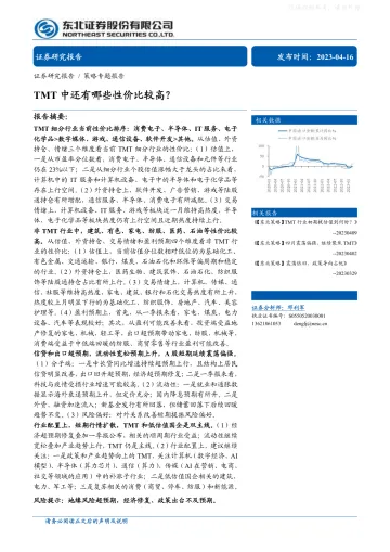 东北证券-策略专题报告:TMT中还有哪些性价比较高?-230416
